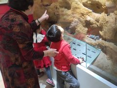 -上海昆虫博物馆