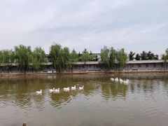 -河北村民俗体验园