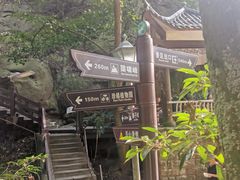 -缙云山景区