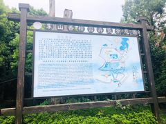 -东山香樟园