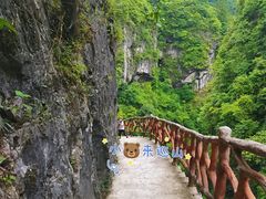 -鹿院坪生态旅游景区