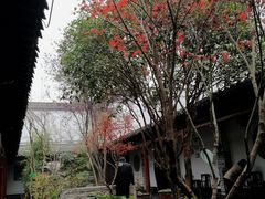 -不倒翁·徽天下名菜楼(马鞍山路店)