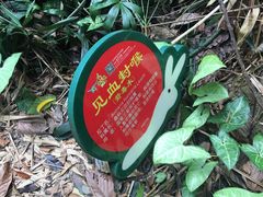 -呀诺达热带雨林