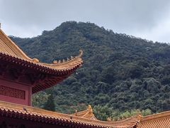 -深圳仙湖植物园