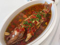 东星斑-世贸万锦大酒店·江南春中餐