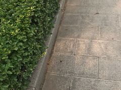 -钓鱼台国宾馆