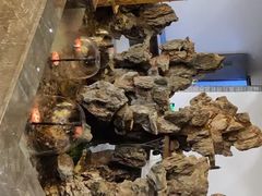 -便宜坊烤鸭店(科创店)