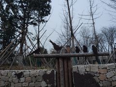 -回龙观体育文化公园