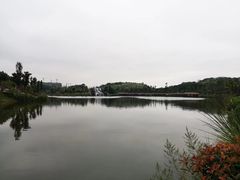 -枫香湖儿童公园