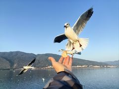 -海埂大坝