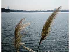 -阳澄湖半岛旅游度假区