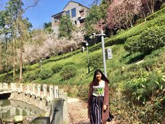 图书馆小花园-重庆工商大学(南岸校区)