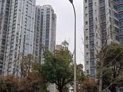-高·尚领域