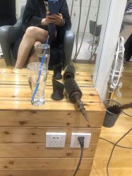 -P.STYLE派斯造型