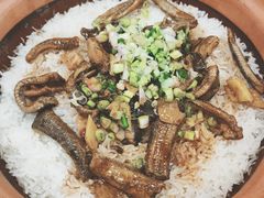 -万年酒楼(越秀南路店)