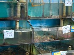 -小叶大馅饺子城