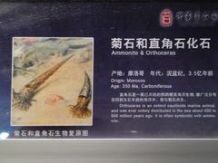 -中华赏石园