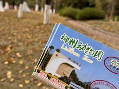 -柳州市动物园