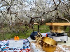 -广州市流溪河国家森林公园