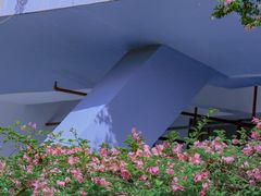 -深圳仙湖植物园-停车场