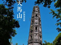 -上海佘山国家森林公园天马山园