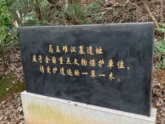 -马王堆汉墓遗址