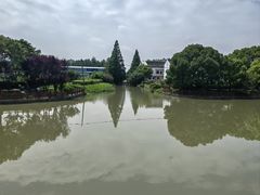 -三林塘老街