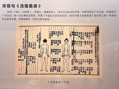 -广东中医药博物馆