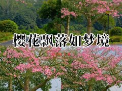 -东莞植物园