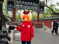 -北京国子监胡同