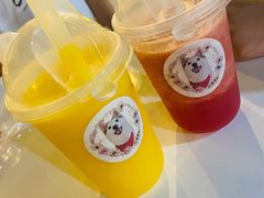 -Husky Go! 哈士奇体验馆·宠物咖啡厅狗咖