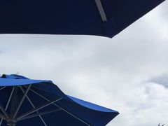 -香港海洋公园