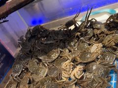 -一方渔歌蒸汽海鲜自助(文化路万达广场店)