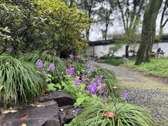 -虎丘山风景名胜区