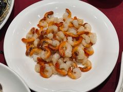 清炒河虾仁-老吉士酒家(天平路店)
