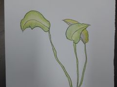 -涂兰朵国际儿童美术馆