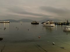 -广东名门