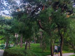 -玲珑塔公园