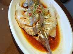 清蒸鲈鱼-东口码头·烧鸽子·鱼头泡饼·地方菜(金鹰悦城店)