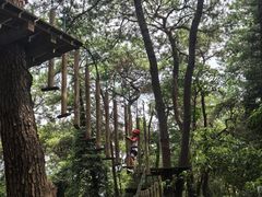 -芦仙山景区-飞越丛林探险乐园