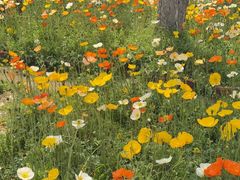 -名花谷生态庄园