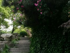 -白马涧龙池景区