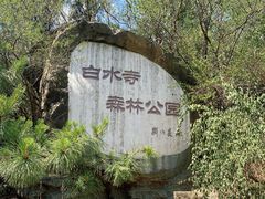 -白水寺森林公园