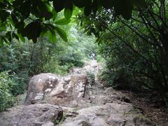 -杭州半山国家森林公园