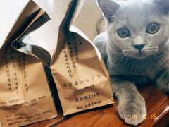 -南塘油赞子(南塘店)
