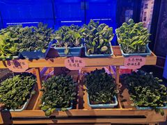 -醉霖生态餐厅(交大店)