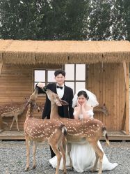 -玫瑰星座婚纱摄影轻奢定制(双井店)