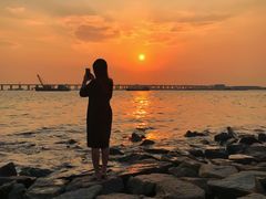 -宝安西湾红树林湿地公园