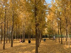 -汉景帝阳陵博物院