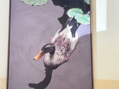 -李记茶油鸭(河西店)